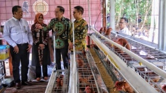 Berdayakan Masyarakat Peternak Disabilitas, Kandang  Merah Putih Bisa Tingkatkan Produksi