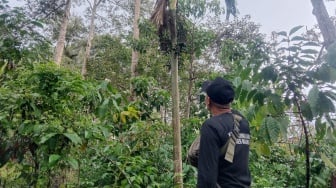 Di Antara Kabut Batu Tegi: Petani, Konservasi, dan Jalan Panjang Menuju Harmoni