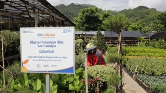 Dukung SDGs, BRI Perluas Akses Pembiayaan Inklusif Berbasis ESG