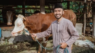 Update Harga Sapi dan Kambing Hewan Kurban Idul Adha 2025 Online dan Offline