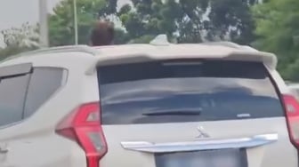 Viral Pemobil Pajero Sport Biarkan Bocah Nekat Keluarkan Kepala dari Sunroof saat Melintas di Tol