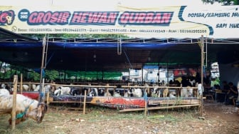 Tempat penampungan hewan kurban di kawasan Dukuh, Kramat Jati, Jakarta Timur, Kamis (22/5/2025). [Suara.com/Alfian Winanto]