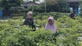 BRInita Sukses Berdayakan Masyarakat Pekanbaru, BRI Peduli Dukung Ketahanan Pangan Level Mikro