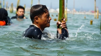 Bertahan di Tengah Rob: Harapan Nelayan Tambakrejo Tumbuh di Antara Bambu Rumpon