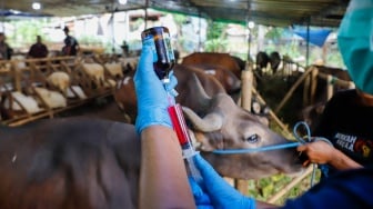 Intip Pemeriksaan Kesehatan Hewan Kurban di Jaktim, Mulai 22 Mei hingga 5 Juni