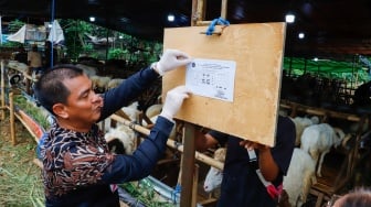 Kepala Suku Dinas (Kasudin) KPKP Jakarta Timur, Taufik Yulianto menempelkan informasi kesehatan hewan kurban di tempat penampungan hewan kurban kawasan Dukuh, Kramat Jati, Jakarta Timur, Kamis (22/5/2025). [Suara.com/Alfian Winanto]