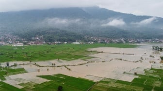 Penampakan 95 Hektar Lahan Pertanian Terendam Banjir di Ciamis