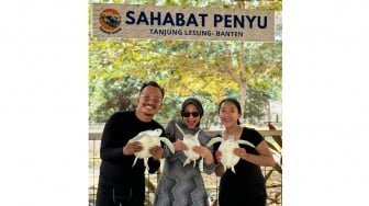 Dari Penyu hingga Badak Jawa: Bagaimana Wisata Alam Tanjung Lesung Mendukung Pelestarian
