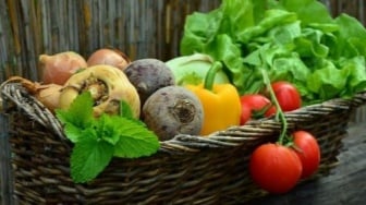 Menu Makanmu Selamatkan Bumi? Pola Makan Ini Pangkas Emisi Lebih Efektif dari Teknologi Mahal