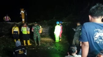 Jalur Selatan Cianjur Lumpuh Akibat Pohon Raksasa Tumbang, Evakuasi Hingga Dini Hari