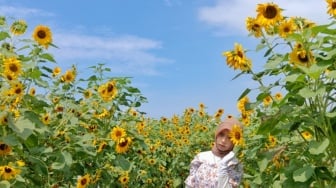 Ladang Bunga Matahari: Rekomendasi Tempat Hunting Foto Estetik di Batu!