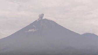 Gunung Semeru Erupsi 4 Kali, Letusan hingga 800 Meter