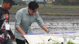 Wapres Gibran Panen Kritikan Usai Tanam Padi Sambil Berjalan Maju, Padahal Ini Alasannya