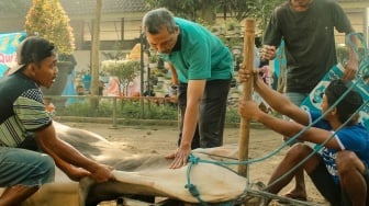 Batas Waktu Penyembelihan Hewan Kurban Menurut Syariat Islam, Jangan Malam!