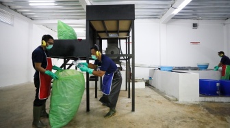Pekerja mengolah sampah botol plastik di Waste Treatment Plant Gelora Bung Karno, Jakarta, Selasa (27/5/2025). [Suara.com/Alfian Winanto]