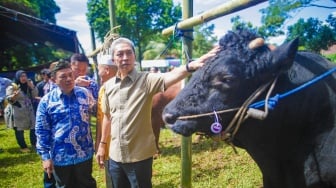 Bursa Hewan Qurban 2025 Resmi Dibuka, Cari Hewan Terbaikmu di Sini
