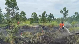 BPBD Kalbar Tetapkan Status Siaga Darurat Karhutla di 3 Kabupaten Rawan