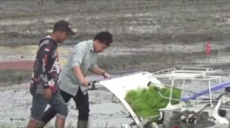 Cara Kerja Rice Transplanter, Mesin Tanam Padi yang Bikin Gibran Ramai Cibiran