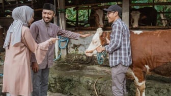 Hukum Kurban dengan Cara Patungan, Apakah Boleh dalam Menurut Islam?
