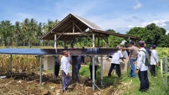 Inspiratif! Petani Banyuwangi Taklukkan Musim Kemarau dengan Tenaga Surya