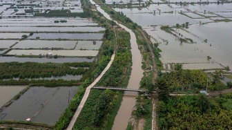 Foto udara Sungai Dombo-Sayung (tengah) dan lahan pertanian dengan jarak sekitar tujuh kilometer dari garis pantai pesisir Sayung (kanan-kiri) telah beralih fungsi menjadi tambak maupun ditinggalkan akibat intrusi air laut yang melanda Desa Sayung, Kecamatan Sayung, Kabupaten Demak, Jawa Tengah, Selasa (27/5/2025). [ANTARA FOTO/Aji Styawan/bar]
