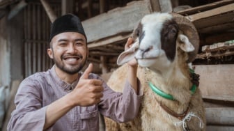 Ternyata Kurban Kambing Lebih Utama dari Sapi, Ini Penjelasan Ustadz Khalid Basalamah!