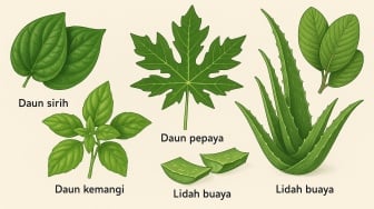 6 Jenis Daun yang Bisa Dijadikan Obat Alami untuk Meredakan Asam Lambung