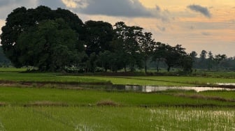 7 Pekerjaan Menjanjikan di Desa: Kaya Raya di Kampung Halaman