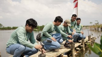 Industri Baja Hijau, Krakatau Posco Integrasikan ESG dalam Strategi Bisnis lewat Konservasi Mangrove