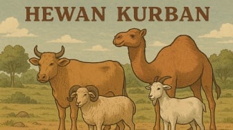 Jangan Sampai Kurbanmu Sia-Sia! Ini Aturan Penting Sebelum Sembelih Hewan