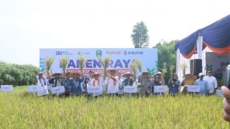 Ketahanan Pangan jadi Andalan Prabowo, Program Makmur PKT Sentuh 73 Ribu Hektar Lahan
