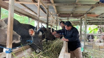 Kukar Kawal Ketat Hewan Kurban, Jaga Standar Kesehatan di Sekitar IKN