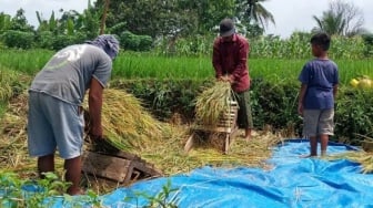 Jaga Harga Pangan, TPID Kaltim Luncurkan Kios Pengendali Inflasi