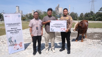 Sambut Idul Adha 1446 H, Semen Baturaja Salurkan 13 Sapi Kurban di 3 Wilayah Operasional