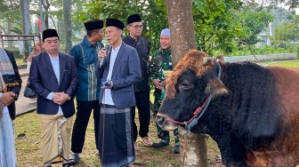 Pemkab Bogor Distribusikan 130 Sapi dan 40 Domba untuk Idul Adha 1446 H