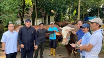 Bukan Kaleng-Kaleng! Prabowo Kurban Sapi Limosin 1,2 Ton untuk Warga Bogor: Semuanya 58 Ekor