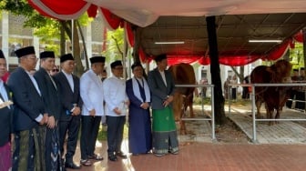 Terungkap! Brawijaya dan Jack, Nama Sapi Kurban Prabowo-Gibran di Istiqlal Siap Disembelih Besok