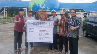 Pemprov Sumbar Tebar 86 Sapi Kurban, 7 Ekor untuk Palestina