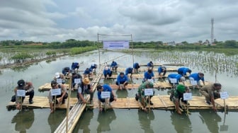 Bumi Semakin Hijau, Laut Semakin Hidup! Ini Aksi Nyata PNM untuk Alam Indonesia