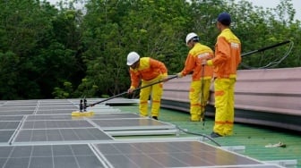Green Jobs Jadi Jalan Menuju Ekonomi Berkelanjutan, Apa Sih Itu?