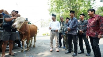 Berkah Iduladha, SIG Tebar 237 Hewan Kurban di 20 Provinsi