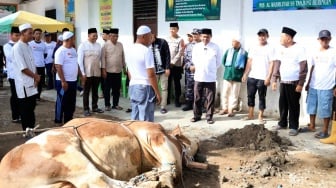 Serdang Bedagai Terima Hewan Kurban Berbobot 820 Kilogram dari Presiden Prabowo