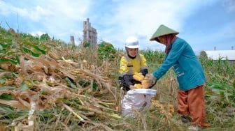 Semen Gresik Sahabat Petani, Ubah Lahan Nganggur Jadi Ladang Emas