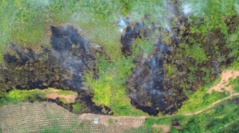 Foto udara kebakaran lahan di Bukit Panjang, Nagari Taram, Limapuluhkota, Sumatera Barat, Selasa (10/6/2025). [ANTARA FOTO/Iggoy el Fitra/foc]