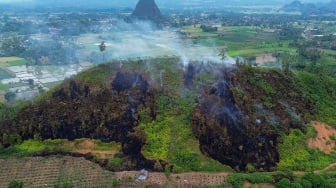 15 Hektar Hutan dan Lahan Terbakar di Limapuluhkota