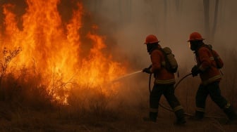 Karhutla Landa Rasau Jaya, Tim Gabungan Berjibaku Padamkan Api di Lahan Gambut