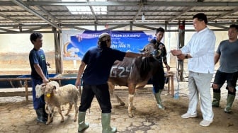 Daging Kurban dan Potongan Harga: Double Kebaikan dari Galeri 24