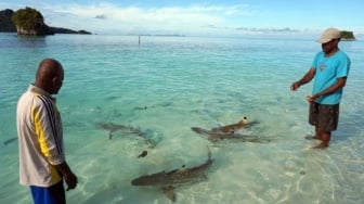 Ini Surga Tersembunyi Raja Ampat yang Wajib Kamu Jelajahi!