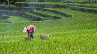 Wujudkan Desa Mandiri di Kawasan IKN, Pemkab PPU Beri Bimtek ke BPD