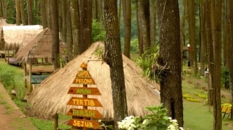 Hutan Pinus Nongko Ijo, Spot Wisata Alam Terbaik untuk Piknik Bareng Keluarga di Madiun